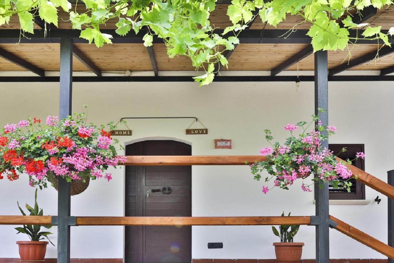 Il Ciavattone Bed And Bike Bed & Breakfast Сулмона Екстериор снимка